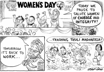 Salute Women of Courage by Zapiro